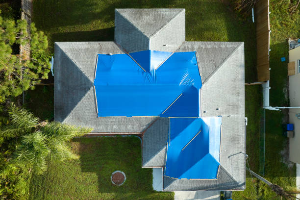 Best Roof Moss and Algae Removal  in Bethesda, OH