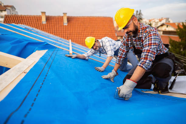 Best Roof Ventilation Installation  in Bethesda, OH